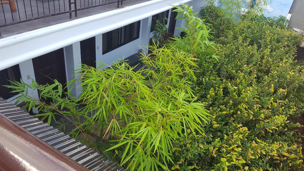 Residencia Lourdes Apartment Lapu-Lapu City Exterior photo